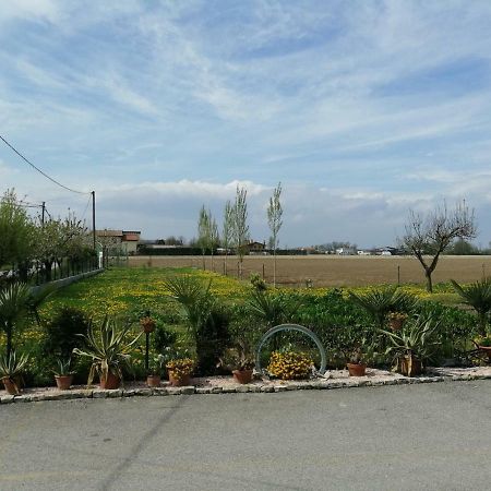 La Carlottina Villa Codevigo ภายนอก รูปภาพ