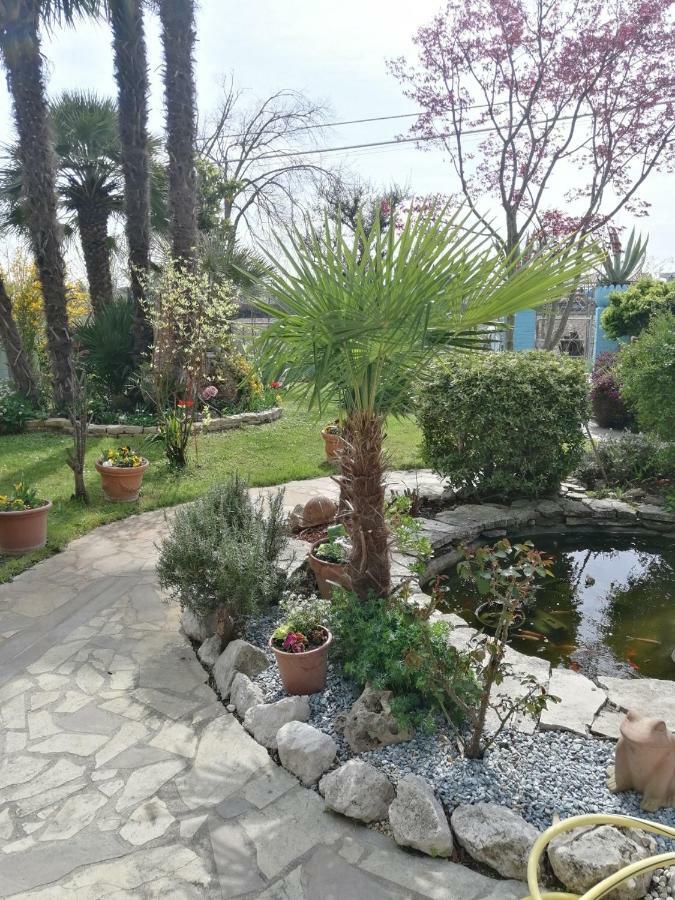 La Carlottina Villa Codevigo ภายนอก รูปภาพ